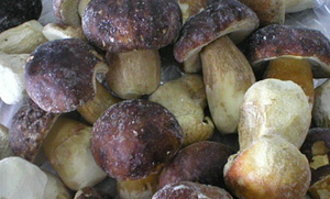 Frozen foods
